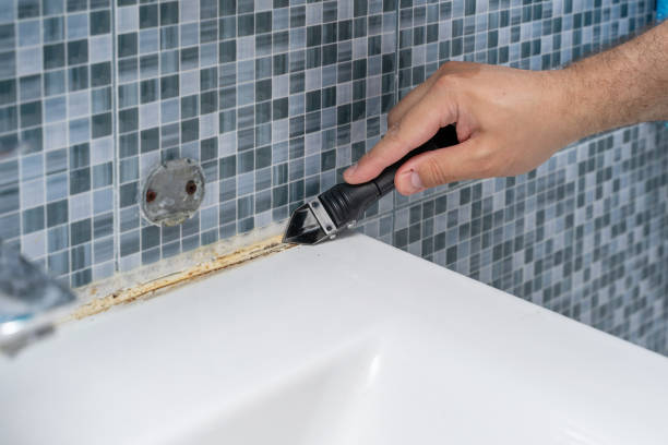 Best Health and Safety Mold Remediation in Dexter, MO